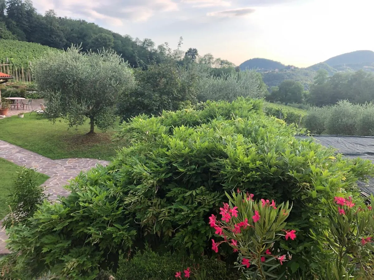 Agriturismo Terre Bianche Teolo Apartment